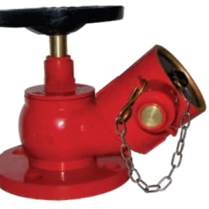 Landing Valve